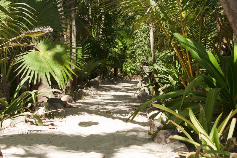 Fotos del hotel Dos Ceibas Eco Retreat Tulum:  3