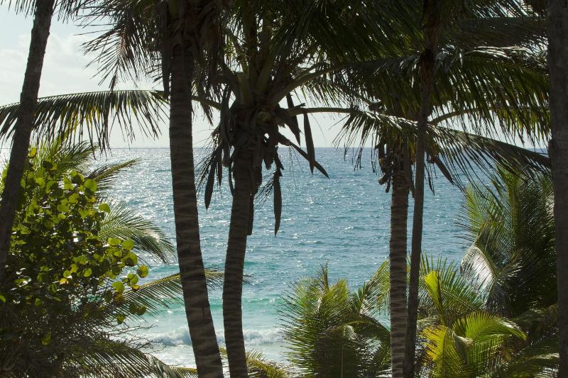 Fotos del hotel Dos Ceibas Eco Retreat Tulum:  7