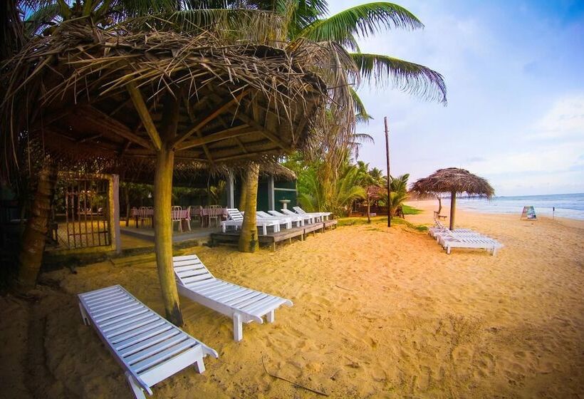 Fotos del hotel Mother's Place Nimala:  12