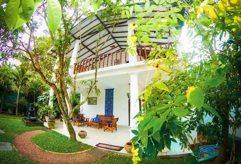 Fotos del hotel Mother's Place Nimala:  11