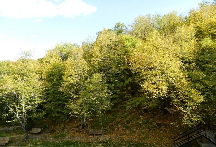 Fotos del hotel Tsaghkahovit:  21