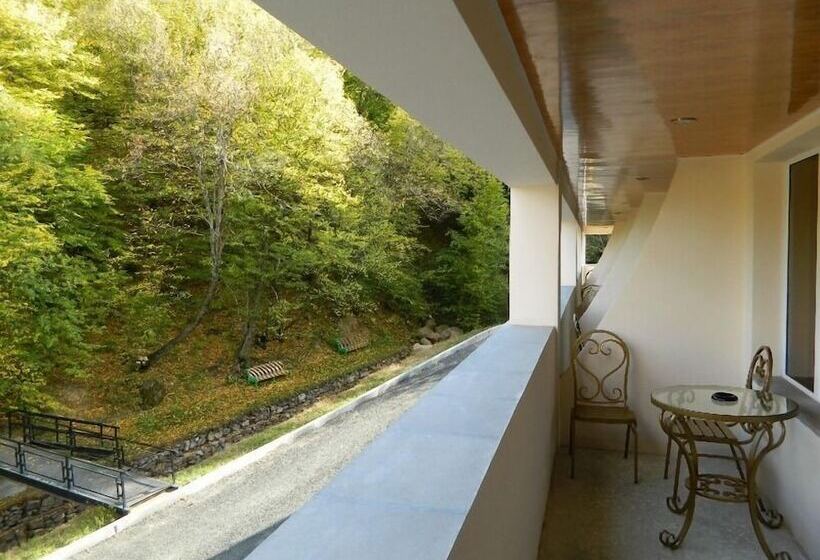 Fotos del hotel Tsaghkahovit:  7