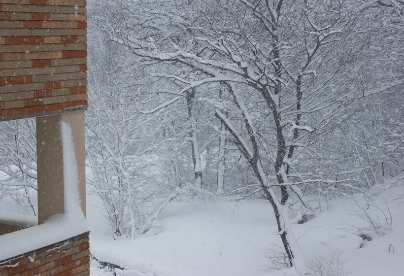 Fotos del hotel Tsaghkahovit:  25