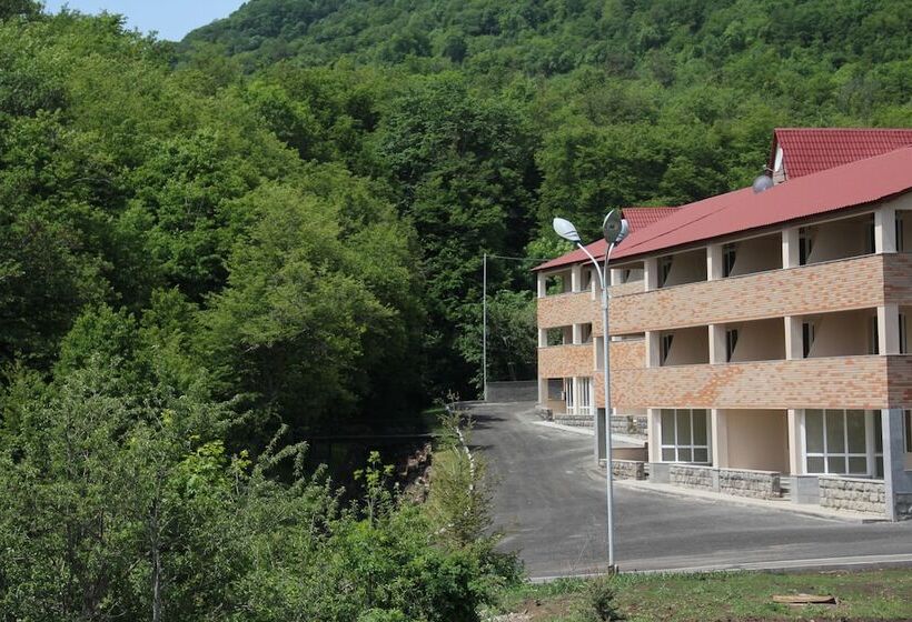 Fotos del hotel Tsaghkahovit:  24