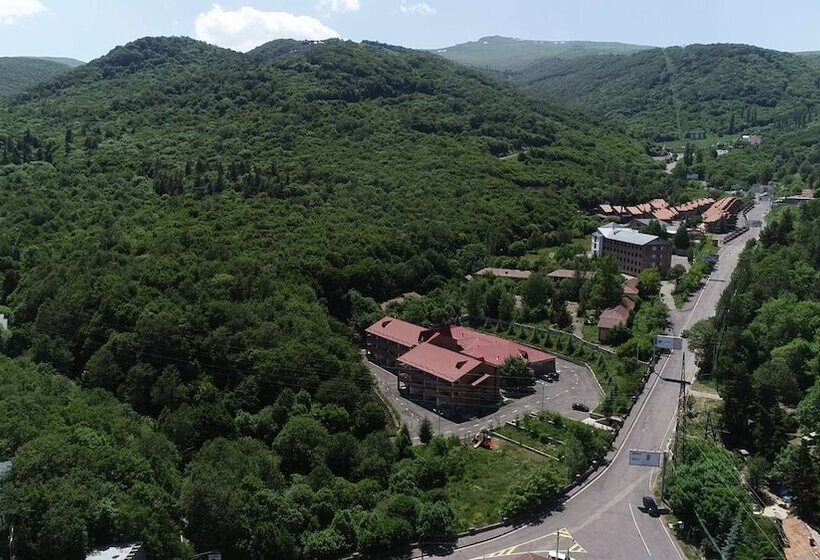 Fotos del hotel Tsaghkahovit:  10