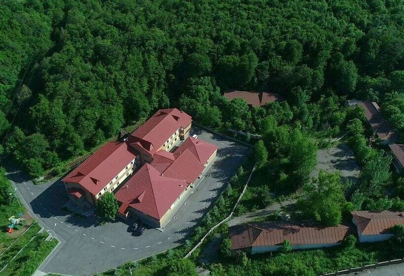 Fotos del hotel Tsaghkahovit:  18