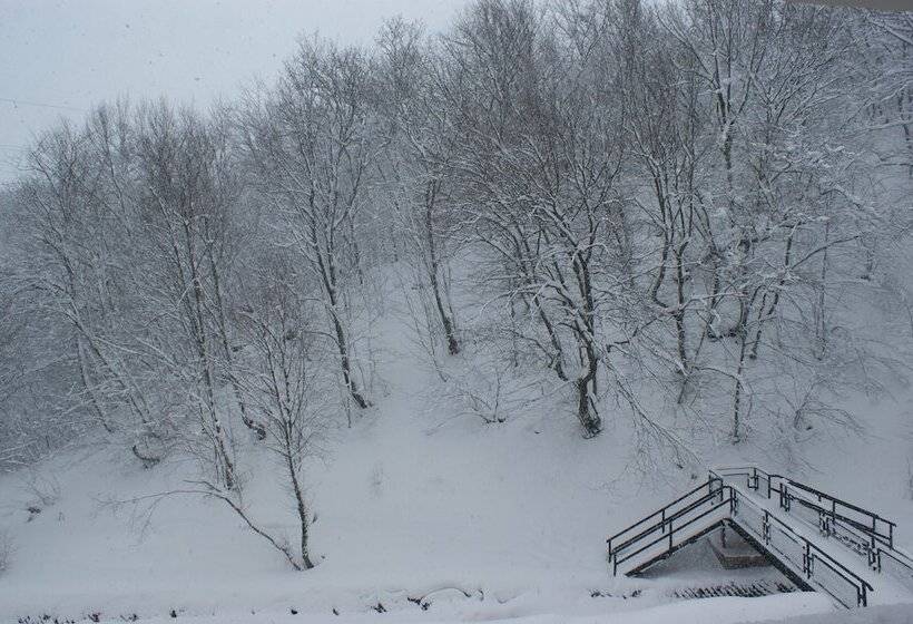 Fotos del hotel Tsaghkahovit:  9