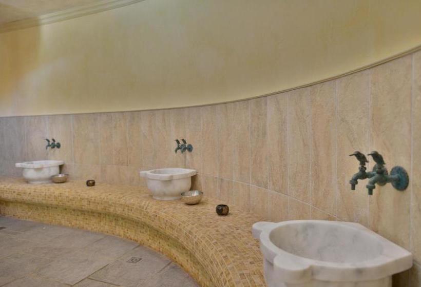 Fotos del hotel Villa Bizantium:  8