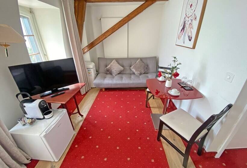 Fotos del hotel Ermitage:  19