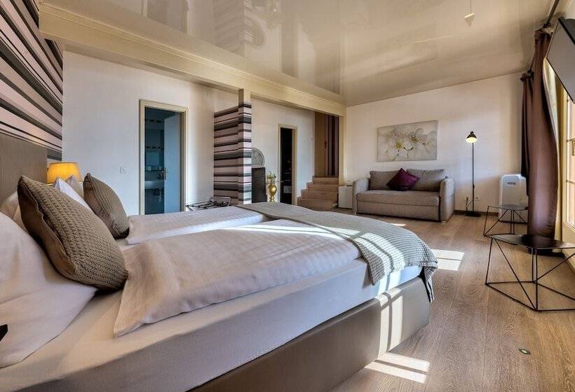 Fotos del hotel Ermitage:  11