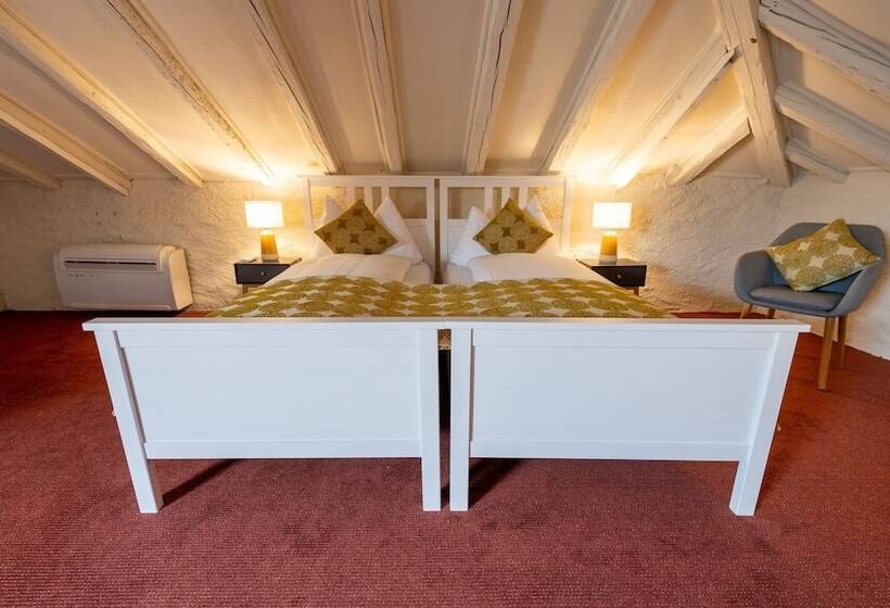 Fotos del hotel Ermitage:  5