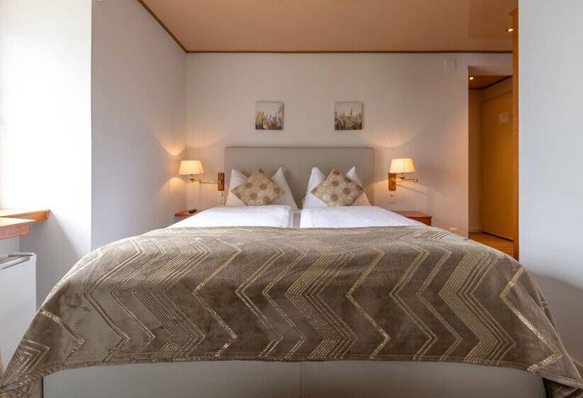 Fotos del hotel Ermitage:  8