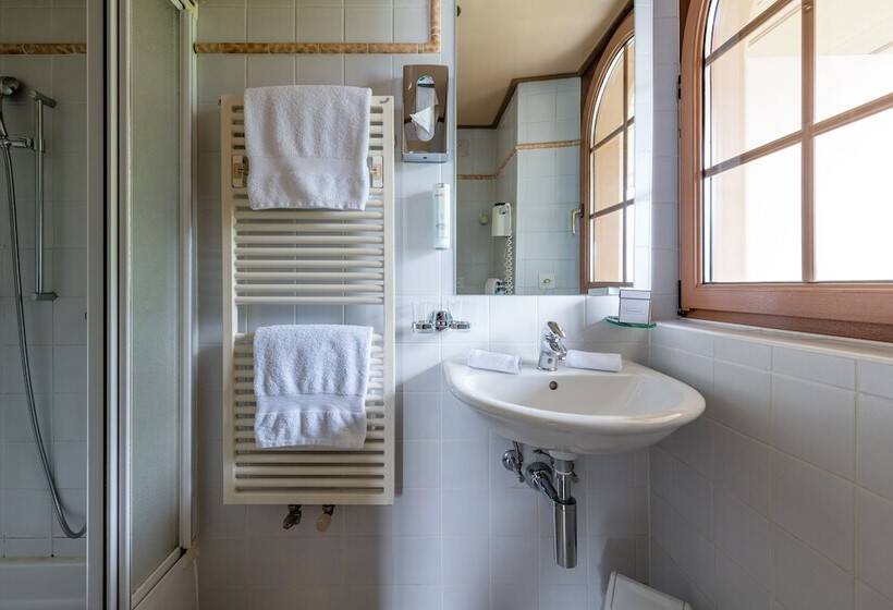 Fotos del hotel Ermitage:  3