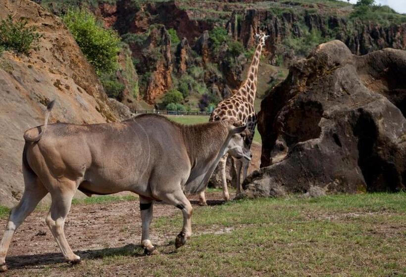 Fotos del hotel Casona El Arral:  16