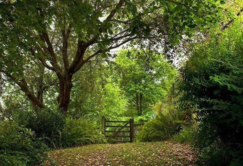 Fotos del hotel Rural Arredondo:  20