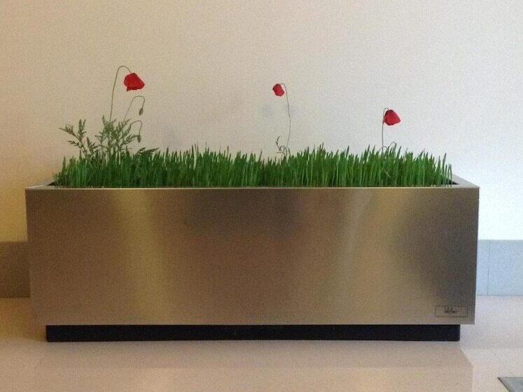 Fotos del hotel Central:  14