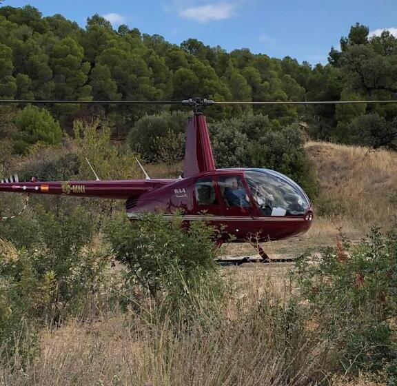 Fotos del hotel Mas De La Costa:  24