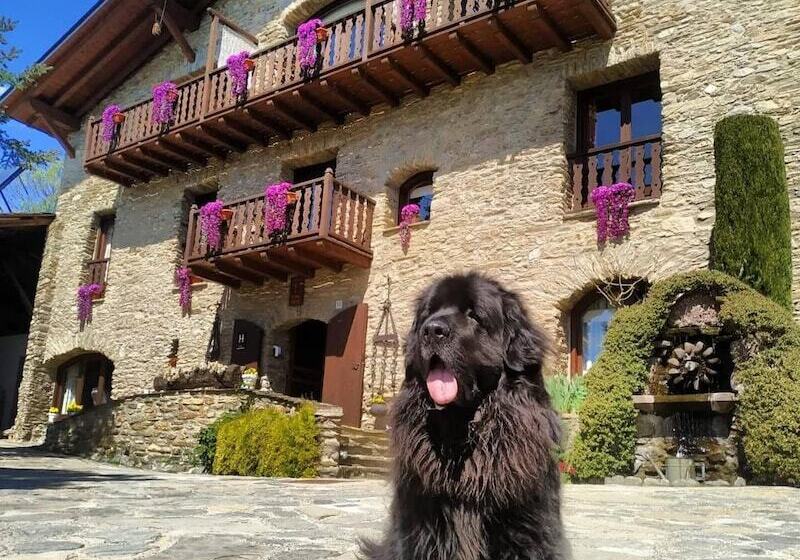 Fotos del hotel Mas d'en Roqueta:  11