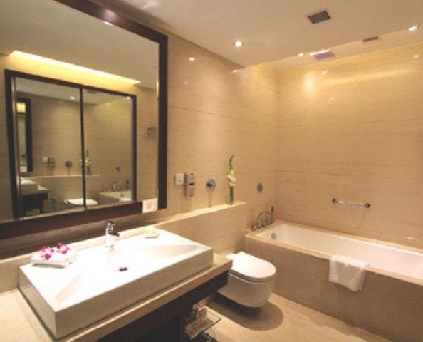 Fotos del hotel The  Hindusthan International:  11