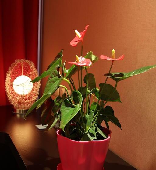 Fotos del hotel Beijing Red:  6