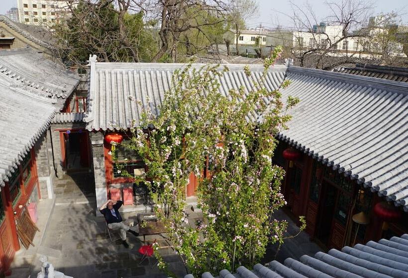 Fotos del hotel Fly By Knight Courtyard:  25