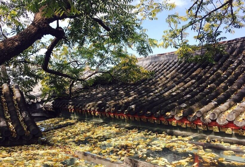 Fotos del hotel Fly By Knight Courtyard:  19