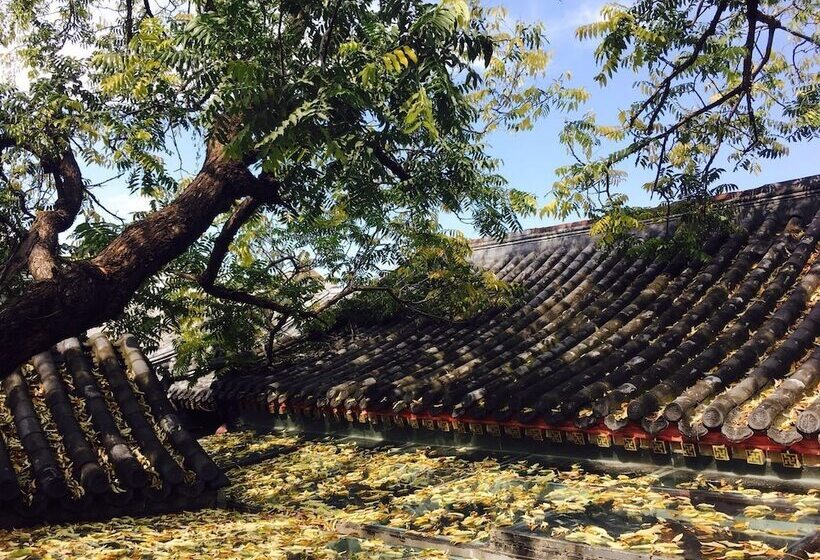 Fotos del hotel Fly By Knight Courtyard:  20