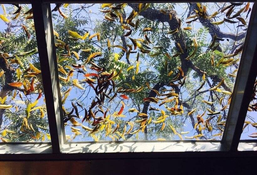 Fotos del hotel Fly By Knight Courtyard:  6