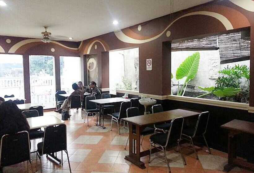 Fotos del hotel Fiducia Otista 153:  4