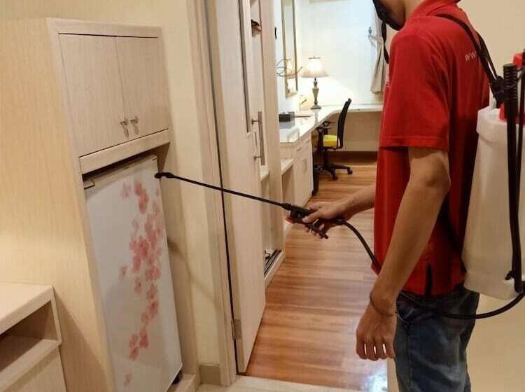 Fotos del hotel Grand Kasira:  11