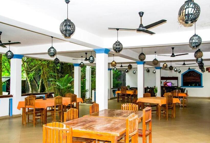 Fotos del hotel Vista Silva Rest:  16