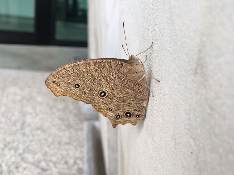 Fotos del hotel Aport:  7