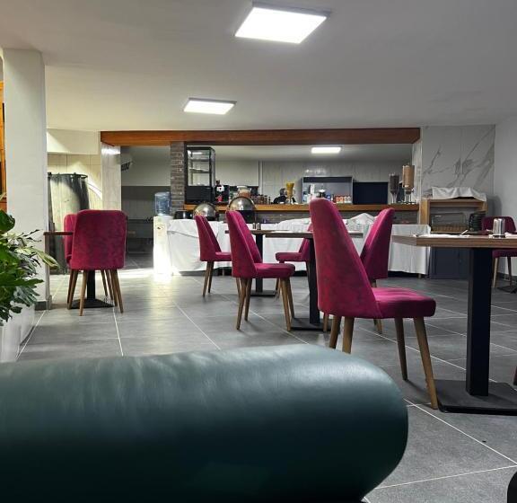 Fotos del hotel Aviation:  13