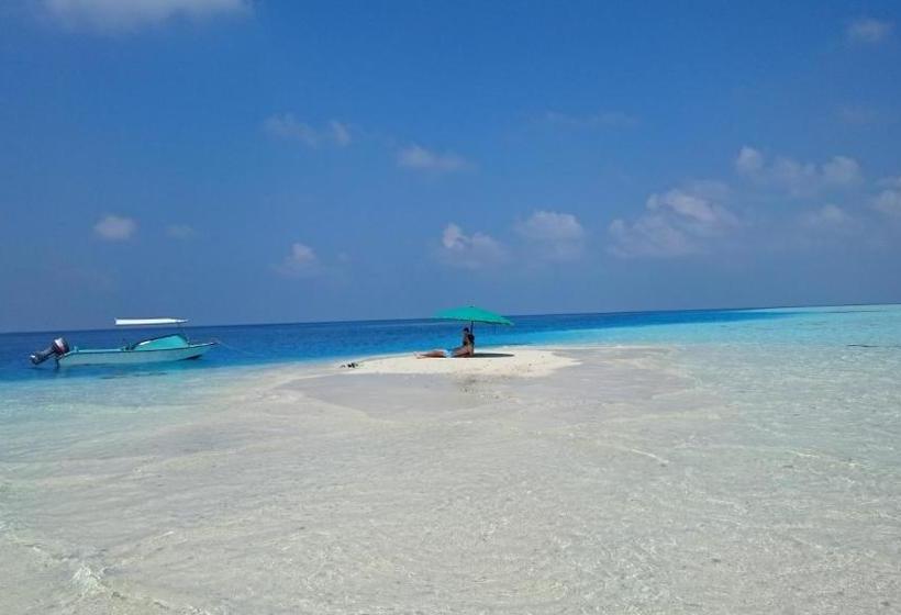 Fotos del hotel Siesta Beach:  4