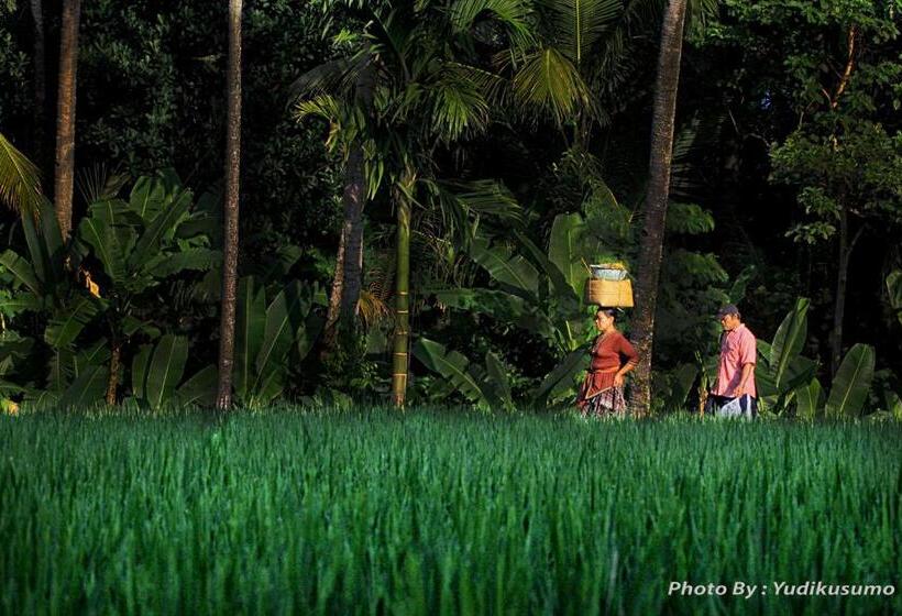 Fotos del hotel Tetirah Boutique:  21