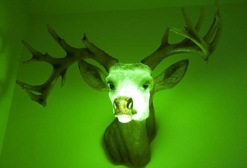 Fotos del hotel Agorà:  6