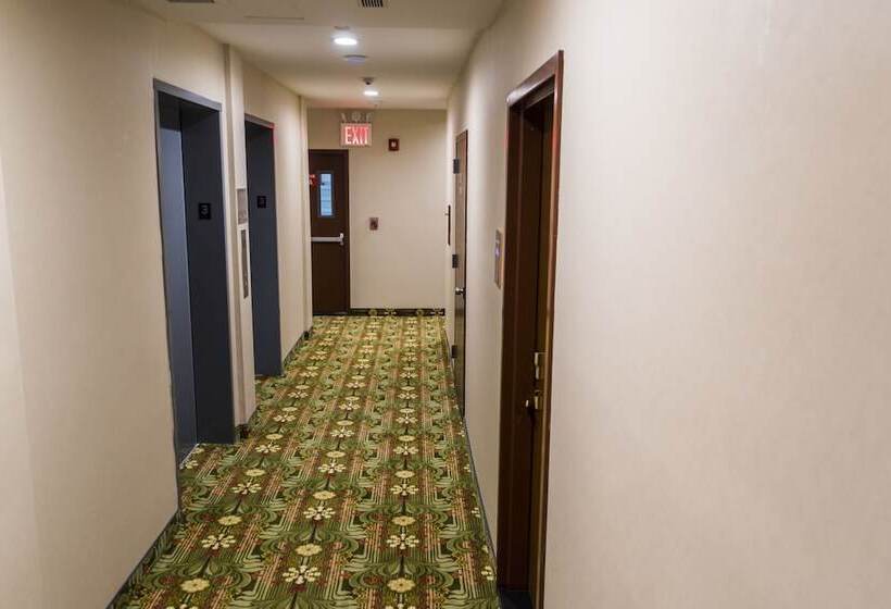 Fotos del hotel John:  2