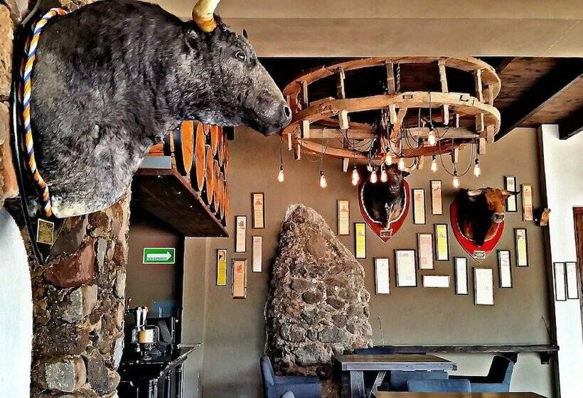 Fotos del hotel Hacienda El Salitre:  16