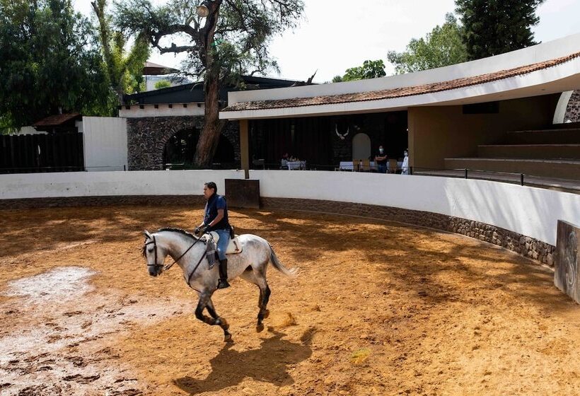 Fotos del hotel Hacienda El Salitre:  11