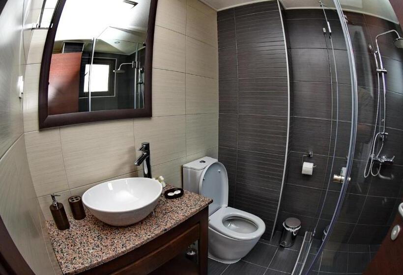 Fotos del hotel Boutique Villa Arte:  6