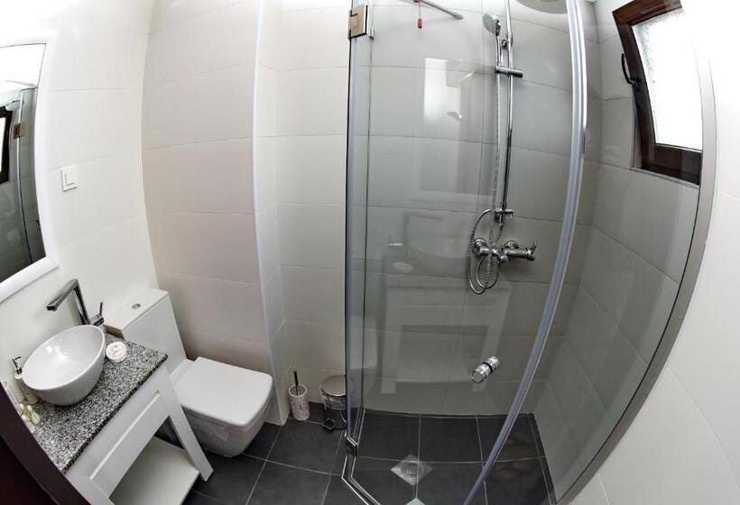 Fotos del hotel Boutique Villa Arte:  10