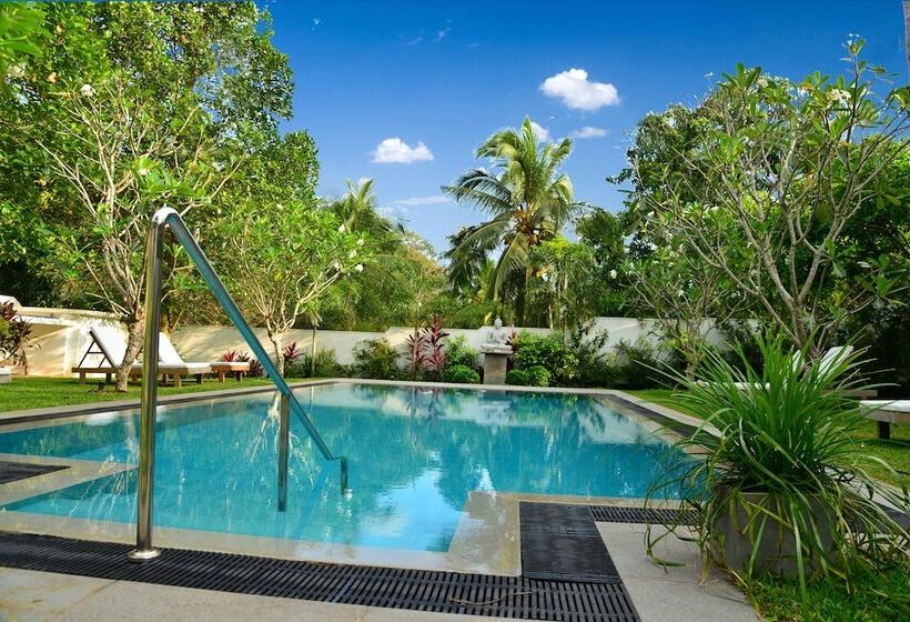 Fotos del hotel Villa Shanthi:  12