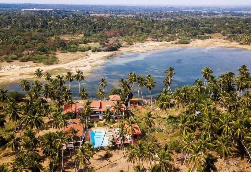 Fotos del hotel Green Parrot Beach Resort:  20