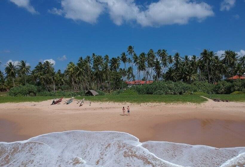 Fotos del hotel Green Parrot Beach Resort:  8