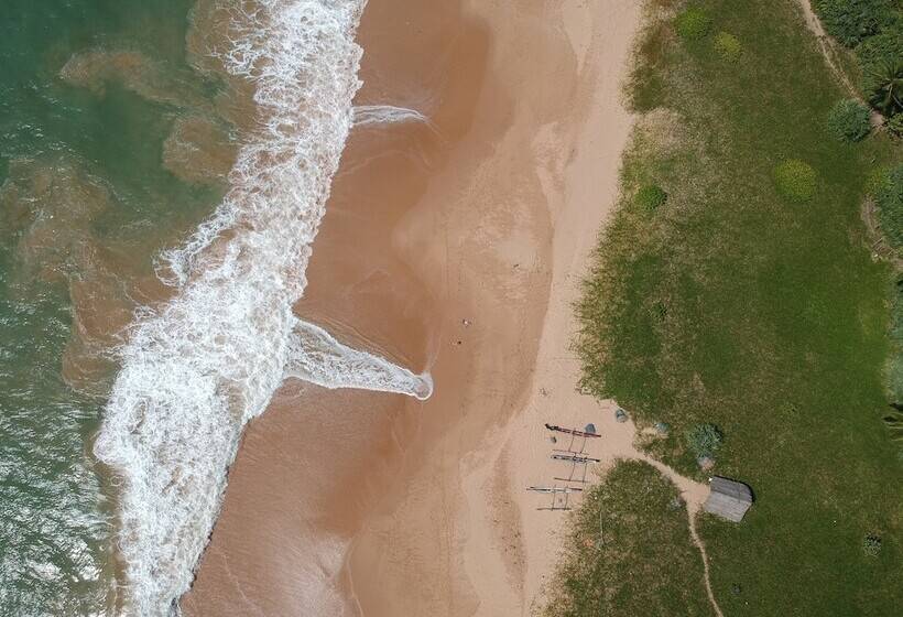 Fotos del hotel Green Parrot Beach Resort:  22