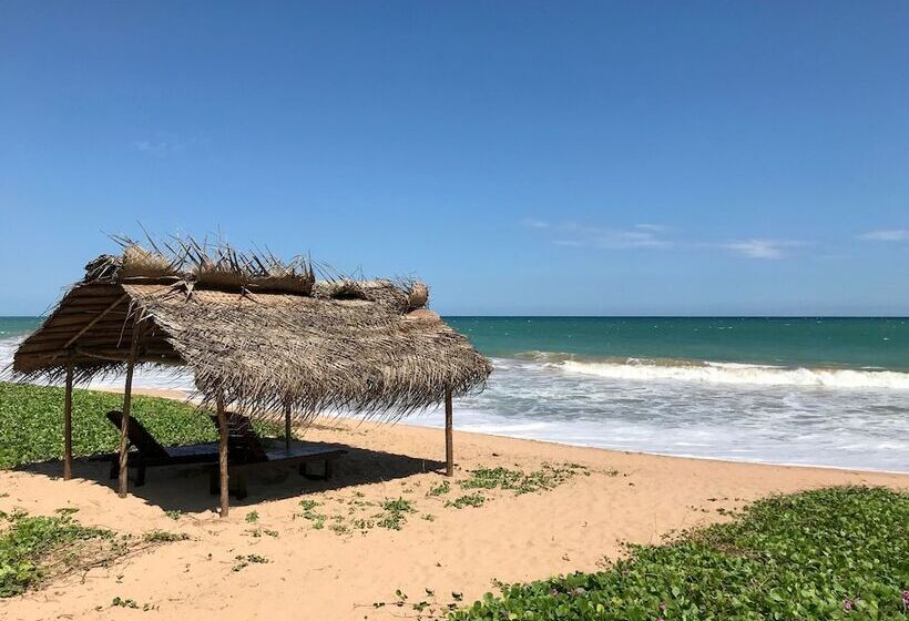 Fotos del hotel Green Parrot Beach Resort:  13