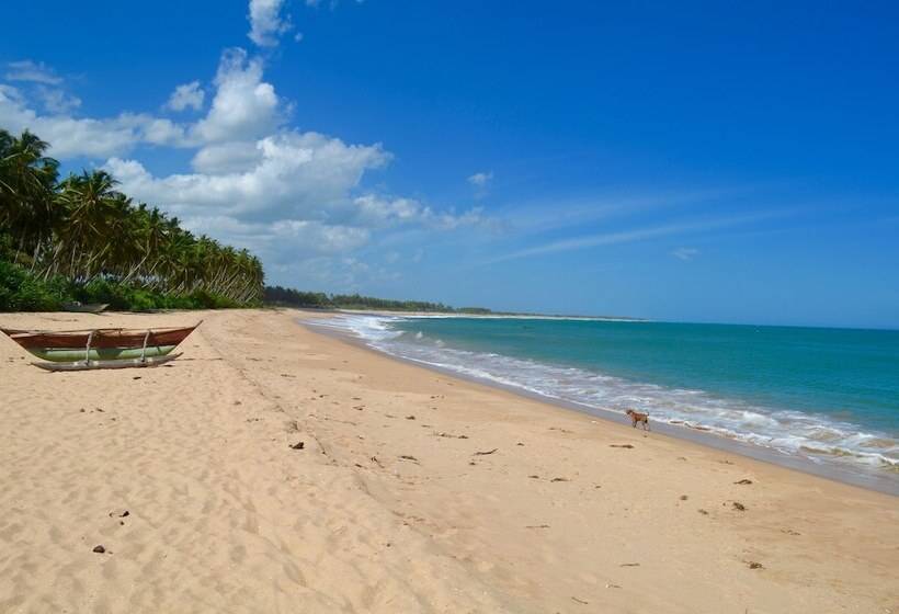 Fotos del hotel Green Parrot Beach Resort:  17