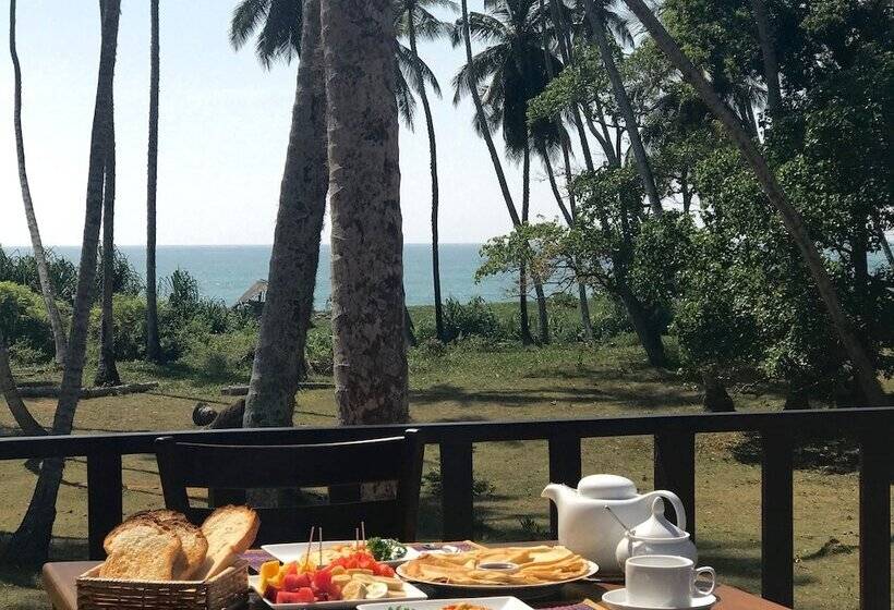 Fotos del hotel Green Parrot Beach Resort:  23