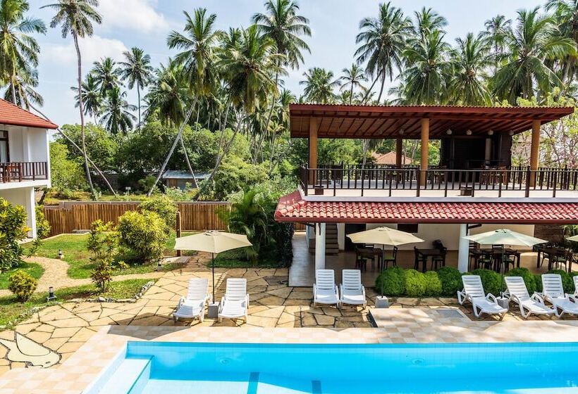 Fotos del hotel Green Parrot Beach Resort:  19