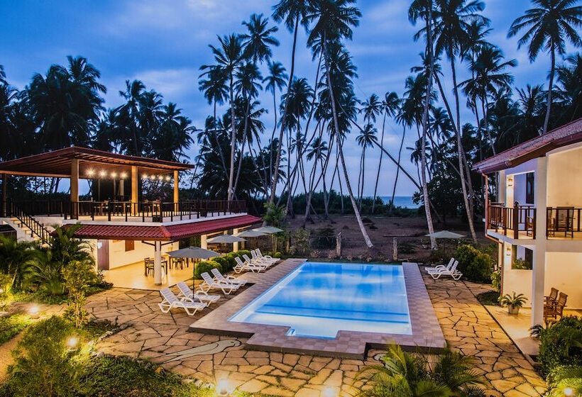 Fotos del hotel Green Parrot Beach Resort:  21